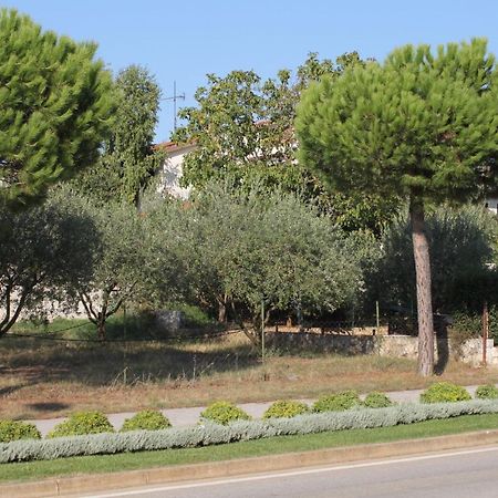 Apartments And Rooms With Parking Space Rovinj - 7170 Extérieur photo