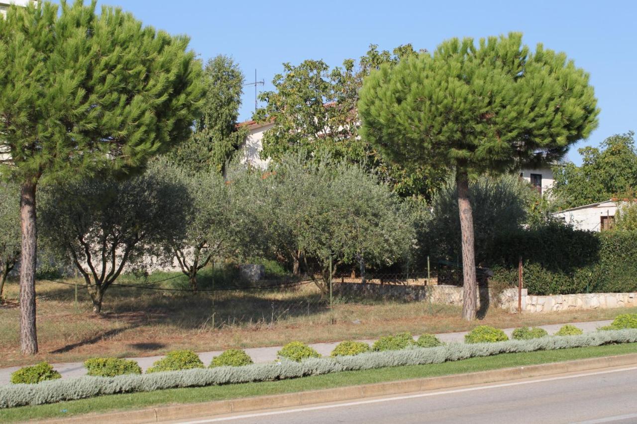 Apartments And Rooms With Parking Space Rovinj - 7170 Extérieur photo