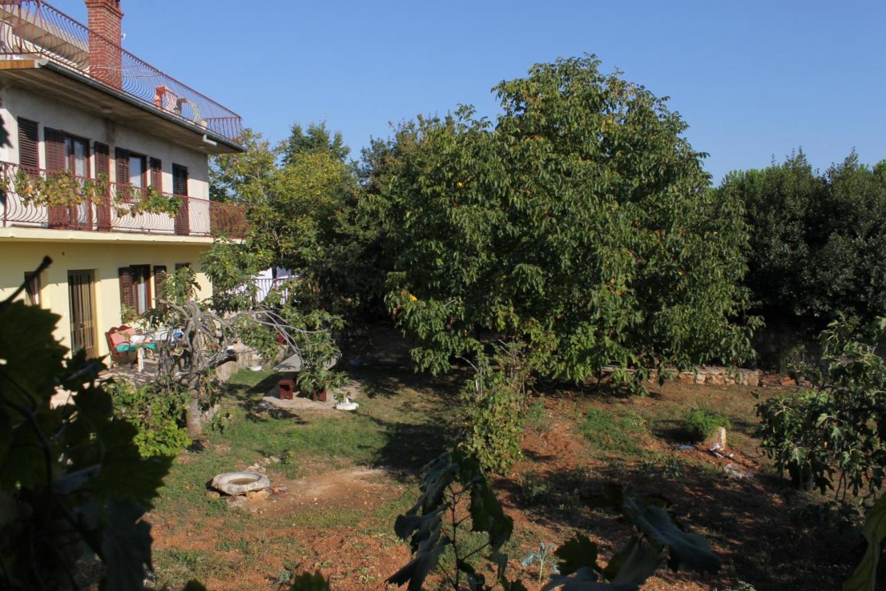 Apartments And Rooms With Parking Space Rovinj - 7170 Extérieur photo